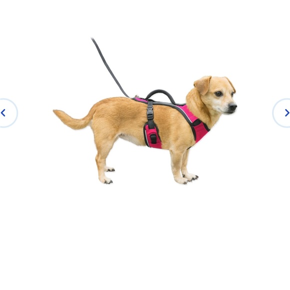 PetSafe Dog Petsafe Harnesses And Leash Size Xs Poshmark